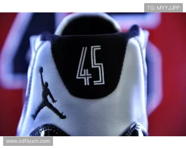 亚新体育平台最新功能介绍：丰富的赛事资源与多样化的互动体验详解