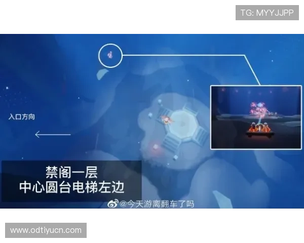 博鱼体育页面登录流程详解及常见问题解决方案推荐